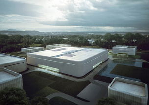 做中國(guó)自己的茶葉品牌 小罐茶創(chuàng)始人杜國(guó)楹的制茶情懷