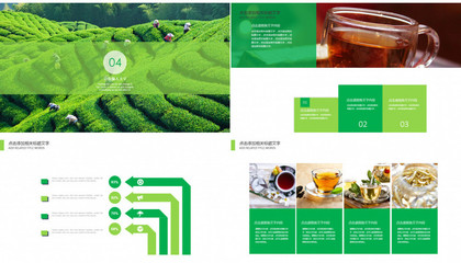 綠色清新茶葉企業(yè)產(chǎn)品宣傳通用PPT模板