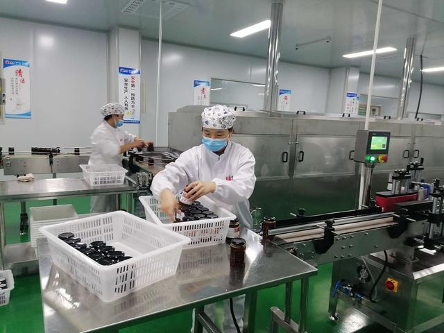 商南培育農(nóng)產(chǎn)品深加工企業(yè) 延長(zhǎng)農(nóng)特產(chǎn)品產(chǎn)業(yè)鏈|茶葉|商南.