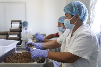 同濟(jì)高材生種田賣(mài)貨 5個(gè)月長(zhǎng)成蘇寧拼購(gòu)明星店